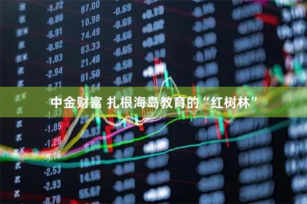 中金财富 扎根海岛教育的“红树林”