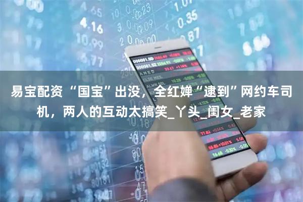 易宝配资 “国宝”出没，全红婵“逮到”网约车司机，两人的互动太搞笑_丫头_闺女_老家